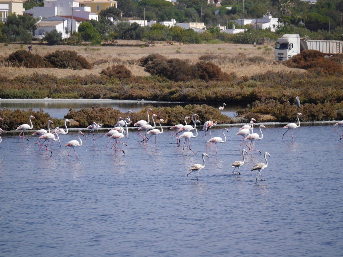 Tavira Nomad Guesthouse Bagian luar foto